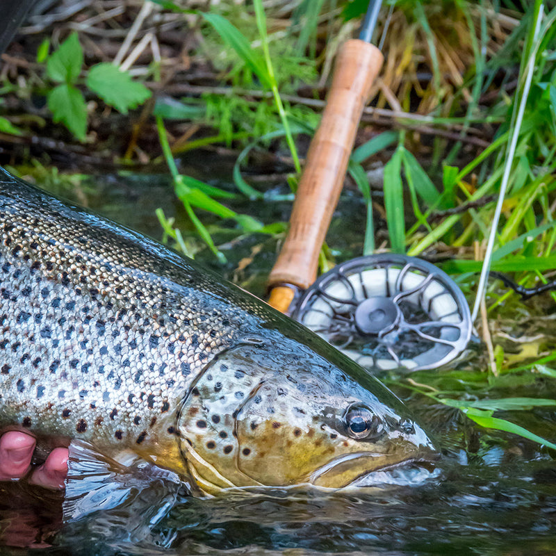 Vision XO Bobs Flies, Fliegenfischen Schweiz, Fliegenfischen Graubünden, Fliegenfischen Zürich, Fliegenfischen Bern, Fliegenfischen Basel, Fliegenfischen Uri, Fliegenfischen Glarus