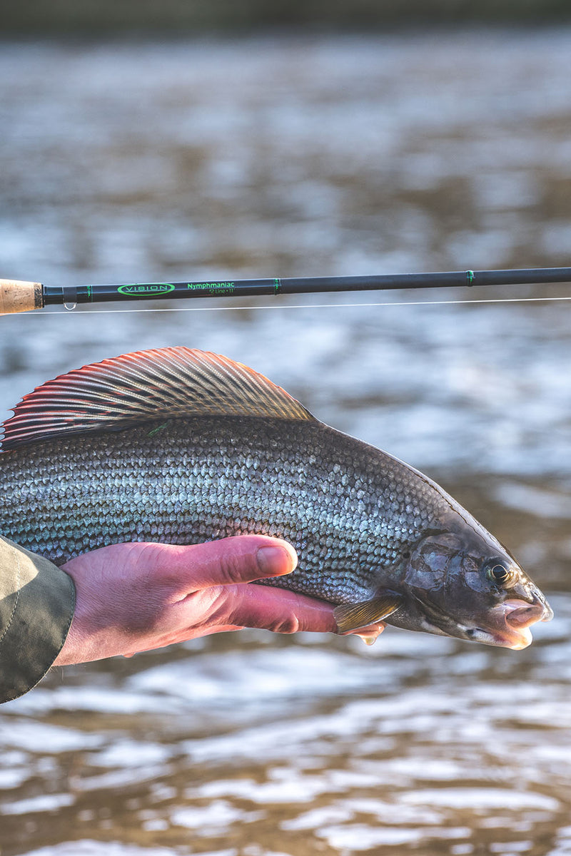 Vision NYMPHMANIAC Bobs Flies, Fliegenfischen Schweiz, Fliegenfischen Graubünden, Fliegenfischen Zürich, Fliegenfischen Bern, Fliegenfischen Basel, Fliegenfischen Uri, Fliegenfischen Glarus